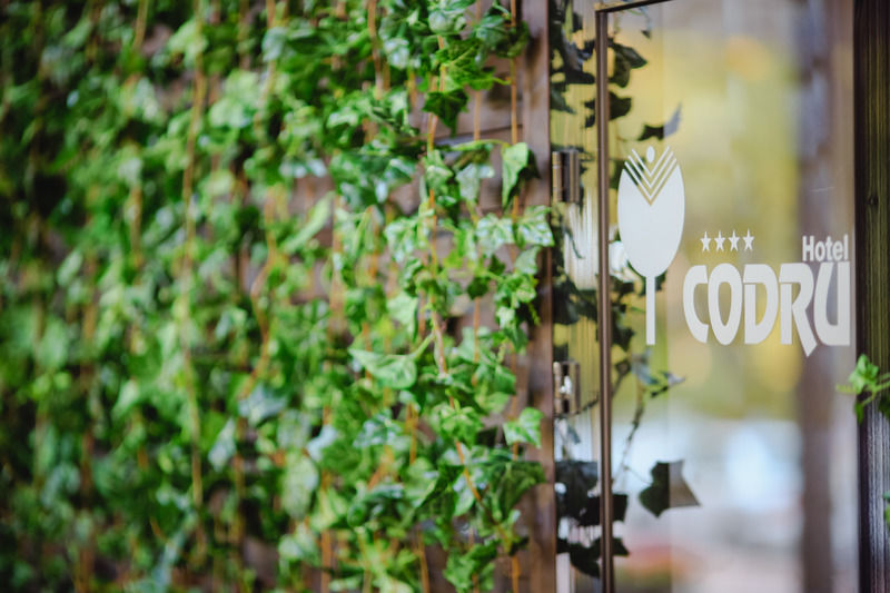 Codru Hotel Кишинів Екстер'єр фото